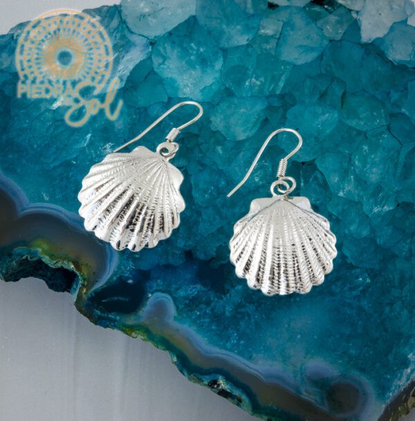 HERMOSOS ARETES DE GANCHO